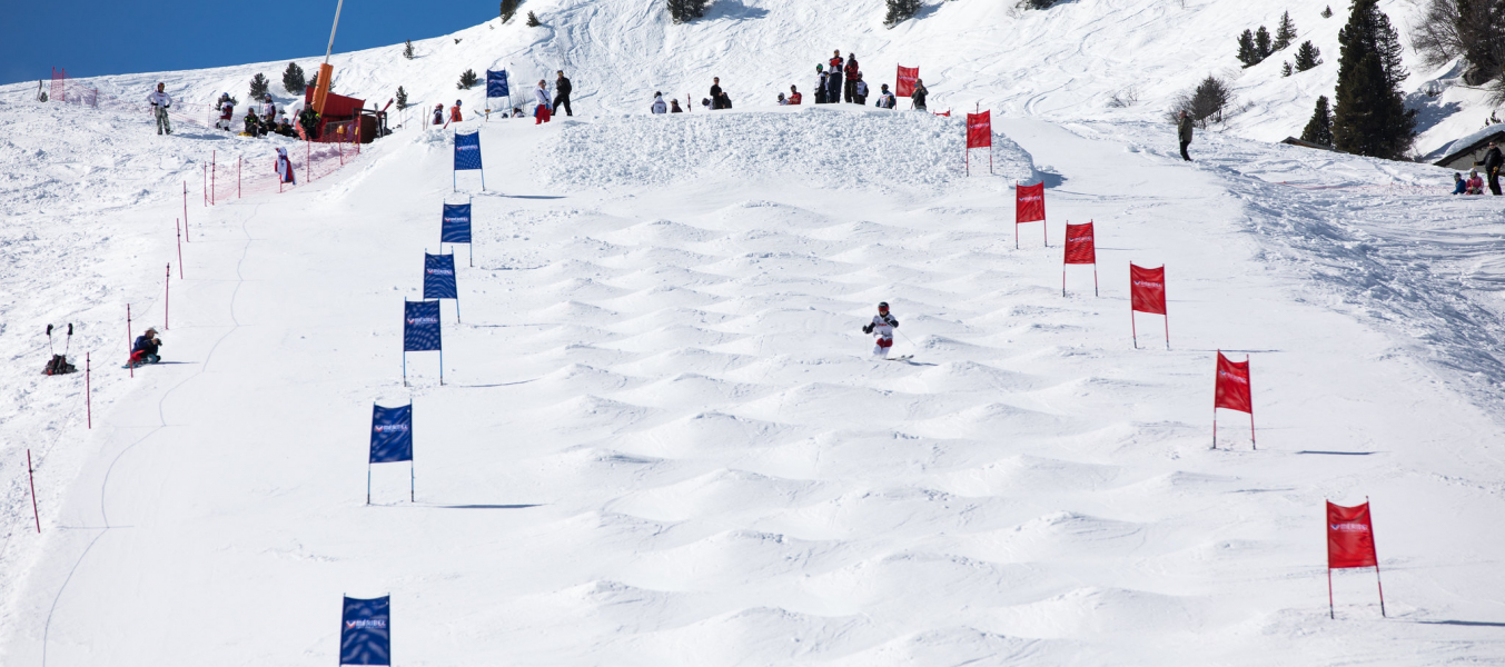 Coupe de France de ski de bosses